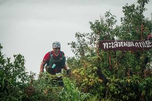 BIB: 
                            <button type="button" onclick="openModal(26325367)" class="btn btn-primary btn-sm float-right btn-popup" data-toggle="modal" data-target=".modal-high-quality">
                        <i class="fas fa-shopping-cart"></i> Add to Cart
                    </button>
                                            <button type="button" onclick="isThisMe(26325367, true)" class="btn btn-success btn-sm float-right btn-popup btn-isme hidden" data-toggle="tooltip" data-placement="bottom" title="นี่คือรูปของคุณใช่ไหม คลิกที่นี่เพื่อเอาเข้าอัลบั้ม">
                        <i class="fas fa-plus"></i> Add to album
                    </button>
                    <button type="button" onclick="isThisMe(26325367, false)" class="btn btn-warning btn-sm float-right btn-popup btn-isnotme hidden">
                        <i class="fas fa-ban"></i> Remove from album
                    </button>