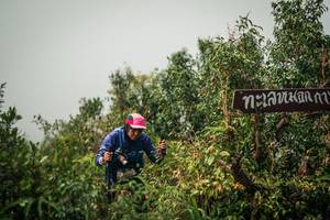 BIB: 
                            <button type="button" onclick="openModal(26334577)" class="btn btn-primary btn-sm float-right btn-popup" data-toggle="modal" data-target=".modal-high-quality">
                        <i class="fas fa-shopping-cart"></i> Add to Cart
                    </button>
                                            <button type="button" onclick="isThisMe(26334577, true)" class="btn btn-success btn-sm float-right btn-popup btn-isme hidden" data-toggle="tooltip" data-placement="bottom" title="นี่คือรูปของคุณใช่ไหม คลิกที่นี่เพื่อเอาเข้าอัลบั้ม">
                        <i class="fas fa-plus"></i> Add to album
                    </button>
                    <button type="button" onclick="isThisMe(26334577, false)" class="btn btn-warning btn-sm float-right btn-popup btn-isnotme hidden">
                        <i class="fas fa-ban"></i> Remove from album
                    </button>