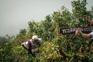 BIB: 
                            <button type="button" onclick="openModal(26334426)" class="btn btn-primary btn-sm float-right btn-popup" data-toggle="modal" data-target=".modal-high-quality">
                        <i class="fas fa-shopping-cart"></i> Add to Cart
                    </button>
                                            <button type="button" onclick="isThisMe(26334426, true)" class="btn btn-success btn-sm float-right btn-popup btn-isme hidden" data-toggle="tooltip" data-placement="bottom" title="นี่คือรูปของคุณใช่ไหม คลิกที่นี่เพื่อเอาเข้าอัลบั้ม">
                        <i class="fas fa-plus"></i> Add to album
                    </button>
                    <button type="button" onclick="isThisMe(26334426, false)" class="btn btn-warning btn-sm float-right btn-popup btn-isnotme hidden">
                        <i class="fas fa-ban"></i> Remove from album
                    </button>