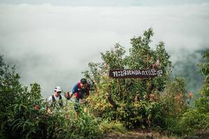 BIB: 
                            <button type="button" onclick="openModal(26332206)" class="btn btn-primary btn-sm float-right btn-popup" data-toggle="modal" data-target=".modal-high-quality">
                        <i class="fas fa-shopping-cart"></i> Add to Cart
                    </button>
                                            <button type="button" onclick="isThisMe(26332206, true)" class="btn btn-success btn-sm float-right btn-popup btn-isme hidden" data-toggle="tooltip" data-placement="bottom" title="นี่คือรูปของคุณใช่ไหม คลิกที่นี่เพื่อเอาเข้าอัลบั้ม">
                        <i class="fas fa-plus"></i> Add to album
                    </button>
                    <button type="button" onclick="isThisMe(26332206, false)" class="btn btn-warning btn-sm float-right btn-popup btn-isnotme hidden">
                        <i class="fas fa-ban"></i> Remove from album
                    </button>