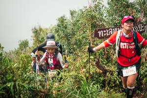 BIB: 
                            <button type="button" onclick="openModal(26335367)" class="btn btn-primary btn-sm float-right btn-popup" data-toggle="modal" data-target=".modal-high-quality">
                        <i class="fas fa-shopping-cart"></i> Add to Cart
                    </button>
                                            <button type="button" onclick="isThisMe(26335367, true)" class="btn btn-success btn-sm float-right btn-popup btn-isme hidden" data-toggle="tooltip" data-placement="bottom" title="นี่คือรูปของคุณใช่ไหม คลิกที่นี่เพื่อเอาเข้าอัลบั้ม">
                        <i class="fas fa-plus"></i> Add to album
                    </button>
                    <button type="button" onclick="isThisMe(26335367, false)" class="btn btn-warning btn-sm float-right btn-popup btn-isnotme hidden">
                        <i class="fas fa-ban"></i> Remove from album
                    </button>