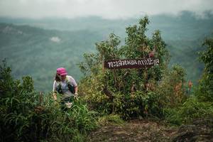 BIB: 
                            <button type="button" onclick="openModal(26336148)" class="btn btn-primary btn-sm float-right btn-popup" data-toggle="modal" data-target=".modal-high-quality">
                        <i class="fas fa-shopping-cart"></i> Add to Cart
                    </button>
                                            <button type="button" onclick="isThisMe(26336148, true)" class="btn btn-success btn-sm float-right btn-popup btn-isme hidden" data-toggle="tooltip" data-placement="bottom" title="นี่คือรูปของคุณใช่ไหม คลิกที่นี่เพื่อเอาเข้าอัลบั้ม">
                        <i class="fas fa-plus"></i> Add to album
                    </button>
                    <button type="button" onclick="isThisMe(26336148, false)" class="btn btn-warning btn-sm float-right btn-popup btn-isnotme hidden">
                        <i class="fas fa-ban"></i> Remove from album
                    </button>