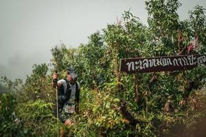 BIB: 
                            <button type="button" onclick="openModal(26334475)" class="btn btn-primary btn-sm float-right btn-popup" data-toggle="modal" data-target=".modal-high-quality">
                        <i class="fas fa-shopping-cart"></i> Add to Cart
                    </button>
                                            <button type="button" onclick="isThisMe(26334475, true)" class="btn btn-success btn-sm float-right btn-popup btn-isme hidden" data-toggle="tooltip" data-placement="bottom" title="นี่คือรูปของคุณใช่ไหม คลิกที่นี่เพื่อเอาเข้าอัลบั้ม">
                        <i class="fas fa-plus"></i> Add to album
                    </button>
                    <button type="button" onclick="isThisMe(26334475, false)" class="btn btn-warning btn-sm float-right btn-popup btn-isnotme hidden">
                        <i class="fas fa-ban"></i> Remove from album
                    </button>