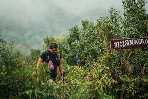 BIB: 
                            <button type="button" onclick="openModal(26335802)" class="btn btn-primary btn-sm float-right btn-popup" data-toggle="modal" data-target=".modal-high-quality">
                        <i class="fas fa-shopping-cart"></i> Add to Cart
                    </button>
                                            <button type="button" onclick="isThisMe(26335802, true)" class="btn btn-success btn-sm float-right btn-popup btn-isme hidden" data-toggle="tooltip" data-placement="bottom" title="นี่คือรูปของคุณใช่ไหม คลิกที่นี่เพื่อเอาเข้าอัลบั้ม">
                        <i class="fas fa-plus"></i> Add to album
                    </button>
                    <button type="button" onclick="isThisMe(26335802, false)" class="btn btn-warning btn-sm float-right btn-popup btn-isnotme hidden">
                        <i class="fas fa-ban"></i> Remove from album
                    </button>