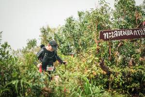 BIB: 
                            <button type="button" onclick="openModal(26335162)" class="btn btn-primary btn-sm float-right btn-popup" data-toggle="modal" data-target=".modal-high-quality">
                        <i class="fas fa-shopping-cart"></i> Add to Cart
                    </button>
                                            <button type="button" onclick="isThisMe(26335162, true)" class="btn btn-success btn-sm float-right btn-popup btn-isme hidden" data-toggle="tooltip" data-placement="bottom" title="นี่คือรูปของคุณใช่ไหม คลิกที่นี่เพื่อเอาเข้าอัลบั้ม">
                        <i class="fas fa-plus"></i> Add to album
                    </button>
                    <button type="button" onclick="isThisMe(26335162, false)" class="btn btn-warning btn-sm float-right btn-popup btn-isnotme hidden">
                        <i class="fas fa-ban"></i> Remove from album
                    </button>