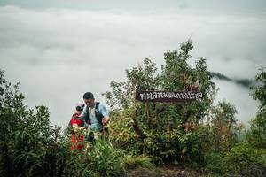 BIB: 
                            <button type="button" onclick="openModal(26328780)" class="btn btn-primary btn-sm float-right btn-popup" data-toggle="modal" data-target=".modal-high-quality">
                        <i class="fas fa-shopping-cart"></i> Add to Cart
                    </button>
                                            <button type="button" onclick="isThisMe(26328780, true)" class="btn btn-success btn-sm float-right btn-popup btn-isme hidden" data-toggle="tooltip" data-placement="bottom" title="นี่คือรูปของคุณใช่ไหม คลิกที่นี่เพื่อเอาเข้าอัลบั้ม">
                        <i class="fas fa-plus"></i> Add to album
                    </button>
                    <button type="button" onclick="isThisMe(26328780, false)" class="btn btn-warning btn-sm float-right btn-popup btn-isnotme hidden">
                        <i class="fas fa-ban"></i> Remove from album
                    </button>