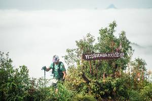 BIB: 
                            <button type="button" onclick="openModal(26325719)" class="btn btn-primary btn-sm float-right btn-popup" data-toggle="modal" data-target=".modal-high-quality">
                        <i class="fas fa-shopping-cart"></i> Add to Cart
                    </button>
                                            <button type="button" onclick="isThisMe(26325719, true)" class="btn btn-success btn-sm float-right btn-popup btn-isme hidden" data-toggle="tooltip" data-placement="bottom" title="นี่คือรูปของคุณใช่ไหม คลิกที่นี่เพื่อเอาเข้าอัลบั้ม">
                        <i class="fas fa-plus"></i> Add to album
                    </button>
                    <button type="button" onclick="isThisMe(26325719, false)" class="btn btn-warning btn-sm float-right btn-popup btn-isnotme hidden">
                        <i class="fas fa-ban"></i> Remove from album
                    </button>