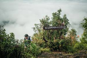 BIB: 
                            <button type="button" onclick="openModal(26327305)" class="btn btn-primary btn-sm float-right btn-popup" data-toggle="modal" data-target=".modal-high-quality">
                        <i class="fas fa-shopping-cart"></i> Add to Cart
                    </button>
                                            <button type="button" onclick="isThisMe(26327305, true)" class="btn btn-success btn-sm float-right btn-popup btn-isme hidden" data-toggle="tooltip" data-placement="bottom" title="นี่คือรูปของคุณใช่ไหม คลิกที่นี่เพื่อเอาเข้าอัลบั้ม">
                        <i class="fas fa-plus"></i> Add to album
                    </button>
                    <button type="button" onclick="isThisMe(26327305, false)" class="btn btn-warning btn-sm float-right btn-popup btn-isnotme hidden">
                        <i class="fas fa-ban"></i> Remove from album
                    </button>