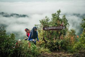 BIB: 
                            <button type="button" onclick="openModal(26330506)" class="btn btn-primary btn-sm float-right btn-popup" data-toggle="modal" data-target=".modal-high-quality">
                        <i class="fas fa-shopping-cart"></i> Add to Cart
                    </button>
                                            <button type="button" onclick="isThisMe(26330506, true)" class="btn btn-success btn-sm float-right btn-popup btn-isme hidden" data-toggle="tooltip" data-placement="bottom" title="นี่คือรูปของคุณใช่ไหม คลิกที่นี่เพื่อเอาเข้าอัลบั้ม">
                        <i class="fas fa-plus"></i> Add to album
                    </button>
                    <button type="button" onclick="isThisMe(26330506, false)" class="btn btn-warning btn-sm float-right btn-popup btn-isnotme hidden">
                        <i class="fas fa-ban"></i> Remove from album
                    </button>