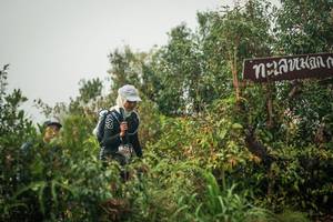 BIB: 
                            <button type="button" onclick="openModal(26335024)" class="btn btn-primary btn-sm float-right btn-popup" data-toggle="modal" data-target=".modal-high-quality">
                        <i class="fas fa-shopping-cart"></i> Add to Cart
                    </button>
                                            <button type="button" onclick="isThisMe(26335024, true)" class="btn btn-success btn-sm float-right btn-popup btn-isme hidden" data-toggle="tooltip" data-placement="bottom" title="นี่คือรูปของคุณใช่ไหม คลิกที่นี่เพื่อเอาเข้าอัลบั้ม">
                        <i class="fas fa-plus"></i> Add to album
                    </button>
                    <button type="button" onclick="isThisMe(26335024, false)" class="btn btn-warning btn-sm float-right btn-popup btn-isnotme hidden">
                        <i class="fas fa-ban"></i> Remove from album
                    </button>