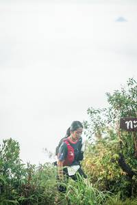 BIB: 
                            <button type="button" onclick="openModal(26325031)" class="btn btn-primary btn-sm float-right btn-popup" data-toggle="modal" data-target=".modal-high-quality">
                        <i class="fas fa-shopping-cart"></i> Add to Cart
                    </button>
                                            <button type="button" onclick="isThisMe(26325031, true)" class="btn btn-success btn-sm float-right btn-popup btn-isme hidden" data-toggle="tooltip" data-placement="bottom" title="นี่คือรูปของคุณใช่ไหม คลิกที่นี่เพื่อเอาเข้าอัลบั้ม">
                        <i class="fas fa-plus"></i> Add to album
                    </button>
                    <button type="button" onclick="isThisMe(26325031, false)" class="btn btn-warning btn-sm float-right btn-popup btn-isnotme hidden">
                        <i class="fas fa-ban"></i> Remove from album
                    </button>