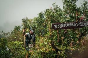 BIB: 
                            <button type="button" onclick="openModal(26334483)" class="btn btn-primary btn-sm float-right btn-popup" data-toggle="modal" data-target=".modal-high-quality">
                        <i class="fas fa-shopping-cart"></i> Add to Cart
                    </button>
                                            <button type="button" onclick="isThisMe(26334483, true)" class="btn btn-success btn-sm float-right btn-popup btn-isme hidden" data-toggle="tooltip" data-placement="bottom" title="นี่คือรูปของคุณใช่ไหม คลิกที่นี่เพื่อเอาเข้าอัลบั้ม">
                        <i class="fas fa-plus"></i> Add to album
                    </button>
                    <button type="button" onclick="isThisMe(26334483, false)" class="btn btn-warning btn-sm float-right btn-popup btn-isnotme hidden">
                        <i class="fas fa-ban"></i> Remove from album
                    </button>