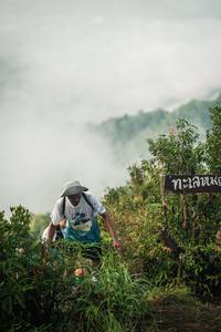 BIB: 
                            <button type="button" onclick="openModal(26309280)" class="btn btn-primary btn-sm float-right btn-popup" data-toggle="modal" data-target=".modal-high-quality">
                        <i class="fas fa-shopping-cart"></i> Add to Cart
                    </button>
                                            <button type="button" onclick="isThisMe(26309280, true)" class="btn btn-success btn-sm float-right btn-popup btn-isme hidden" data-toggle="tooltip" data-placement="bottom" title="นี่คือรูปของคุณใช่ไหม คลิกที่นี่เพื่อเอาเข้าอัลบั้ม">
                        <i class="fas fa-plus"></i> Add to album
                    </button>
                    <button type="button" onclick="isThisMe(26309280, false)" class="btn btn-warning btn-sm float-right btn-popup btn-isnotme hidden">
                        <i class="fas fa-ban"></i> Remove from album
                    </button>