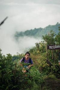 BIB: 
                            <button type="button" onclick="openModal(26309876)" class="btn btn-primary btn-sm float-right btn-popup" data-toggle="modal" data-target=".modal-high-quality">
                        <i class="fas fa-shopping-cart"></i> Add to Cart
                    </button>
                                            <button type="button" onclick="isThisMe(26309876, true)" class="btn btn-success btn-sm float-right btn-popup btn-isme hidden" data-toggle="tooltip" data-placement="bottom" title="นี่คือรูปของคุณใช่ไหม คลิกที่นี่เพื่อเอาเข้าอัลบั้ม">
                        <i class="fas fa-plus"></i> Add to album
                    </button>
                    <button type="button" onclick="isThisMe(26309876, false)" class="btn btn-warning btn-sm float-right btn-popup btn-isnotme hidden">
                        <i class="fas fa-ban"></i> Remove from album
                    </button>