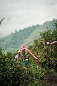 BIB: 
                            <button type="button" onclick="openModal(26310763)" class="btn btn-primary btn-sm float-right btn-popup" data-toggle="modal" data-target=".modal-high-quality">
                        <i class="fas fa-shopping-cart"></i> Add to Cart
                    </button>
                                            <button type="button" onclick="isThisMe(26310763, true)" class="btn btn-success btn-sm float-right btn-popup btn-isme hidden" data-toggle="tooltip" data-placement="bottom" title="นี่คือรูปของคุณใช่ไหม คลิกที่นี่เพื่อเอาเข้าอัลบั้ม">
                        <i class="fas fa-plus"></i> Add to album
                    </button>
                    <button type="button" onclick="isThisMe(26310763, false)" class="btn btn-warning btn-sm float-right btn-popup btn-isnotme hidden">
                        <i class="fas fa-ban"></i> Remove from album
                    </button>