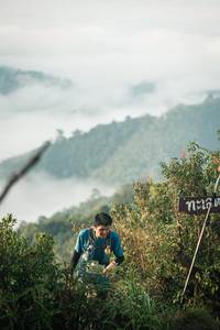 BIB: 
                            <button type="button" onclick="openModal(26306781)" class="btn btn-primary btn-sm float-right btn-popup" data-toggle="modal" data-target=".modal-high-quality">
                        <i class="fas fa-shopping-cart"></i> Add to Cart
                    </button>
                                            <button type="button" onclick="isThisMe(26306781, true)" class="btn btn-success btn-sm float-right btn-popup btn-isme hidden" data-toggle="tooltip" data-placement="bottom" title="นี่คือรูปของคุณใช่ไหม คลิกที่นี่เพื่อเอาเข้าอัลบั้ม">
                        <i class="fas fa-plus"></i> Add to album
                    </button>
                    <button type="button" onclick="isThisMe(26306781, false)" class="btn btn-warning btn-sm float-right btn-popup btn-isnotme hidden">
                        <i class="fas fa-ban"></i> Remove from album
                    </button>