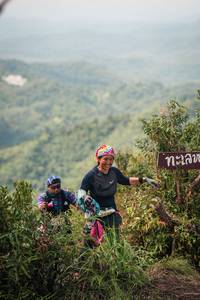 BIB: 
                            <button type="button" onclick="openModal(26319275)" class="btn btn-primary btn-sm float-right btn-popup" data-toggle="modal" data-target=".modal-high-quality">
                        <i class="fas fa-shopping-cart"></i> Add to Cart
                    </button>
                                            <button type="button" onclick="isThisMe(26319275, true)" class="btn btn-success btn-sm float-right btn-popup btn-isme hidden" data-toggle="tooltip" data-placement="bottom" title="นี่คือรูปของคุณใช่ไหม คลิกที่นี่เพื่อเอาเข้าอัลบั้ม">
                        <i class="fas fa-plus"></i> Add to album
                    </button>
                    <button type="button" onclick="isThisMe(26319275, false)" class="btn btn-warning btn-sm float-right btn-popup btn-isnotme hidden">
                        <i class="fas fa-ban"></i> Remove from album
                    </button>