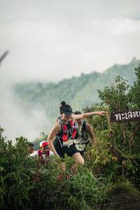 BIB: 
                            <button type="button" onclick="openModal(26310100)" class="btn btn-primary btn-sm float-right btn-popup" data-toggle="modal" data-target=".modal-high-quality">
                        <i class="fas fa-shopping-cart"></i> Add to Cart
                    </button>
                                            <button type="button" onclick="isThisMe(26310100, true)" class="btn btn-success btn-sm float-right btn-popup btn-isme hidden" data-toggle="tooltip" data-placement="bottom" title="นี่คือรูปของคุณใช่ไหม คลิกที่นี่เพื่อเอาเข้าอัลบั้ม">
                        <i class="fas fa-plus"></i> Add to album
                    </button>
                    <button type="button" onclick="isThisMe(26310100, false)" class="btn btn-warning btn-sm float-right btn-popup btn-isnotme hidden">
                        <i class="fas fa-ban"></i> Remove from album
                    </button>