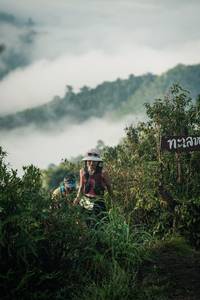 BIB: 
                            <button type="button" onclick="openModal(26307199)" class="btn btn-primary btn-sm float-right btn-popup" data-toggle="modal" data-target=".modal-high-quality">
                        <i class="fas fa-shopping-cart"></i> Add to Cart
                    </button>
                                            <button type="button" onclick="isThisMe(26307199, true)" class="btn btn-success btn-sm float-right btn-popup btn-isme hidden" data-toggle="tooltip" data-placement="bottom" title="นี่คือรูปของคุณใช่ไหม คลิกที่นี่เพื่อเอาเข้าอัลบั้ม">
                        <i class="fas fa-plus"></i> Add to album
                    </button>
                    <button type="button" onclick="isThisMe(26307199, false)" class="btn btn-warning btn-sm float-right btn-popup btn-isnotme hidden">
                        <i class="fas fa-ban"></i> Remove from album
                    </button>