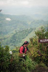 BIB: 
                            <button type="button" onclick="openModal(26314819)" class="btn btn-primary btn-sm float-right btn-popup" data-toggle="modal" data-target=".modal-high-quality">
                        <i class="fas fa-shopping-cart"></i> Add to Cart
                    </button>
                                            <button type="button" onclick="isThisMe(26314819, true)" class="btn btn-success btn-sm float-right btn-popup btn-isme hidden" data-toggle="tooltip" data-placement="bottom" title="นี่คือรูปของคุณใช่ไหม คลิกที่นี่เพื่อเอาเข้าอัลบั้ม">
                        <i class="fas fa-plus"></i> Add to album
                    </button>
                    <button type="button" onclick="isThisMe(26314819, false)" class="btn btn-warning btn-sm float-right btn-popup btn-isnotme hidden">
                        <i class="fas fa-ban"></i> Remove from album
                    </button>