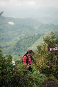 BIB: 
                            <button type="button" onclick="openModal(26314792)" class="btn btn-primary btn-sm float-right btn-popup" data-toggle="modal" data-target=".modal-high-quality">
                        <i class="fas fa-shopping-cart"></i> Add to Cart
                    </button>
                                            <button type="button" onclick="isThisMe(26314792, true)" class="btn btn-success btn-sm float-right btn-popup btn-isme hidden" data-toggle="tooltip" data-placement="bottom" title="นี่คือรูปของคุณใช่ไหม คลิกที่นี่เพื่อเอาเข้าอัลบั้ม">
                        <i class="fas fa-plus"></i> Add to album
                    </button>
                    <button type="button" onclick="isThisMe(26314792, false)" class="btn btn-warning btn-sm float-right btn-popup btn-isnotme hidden">
                        <i class="fas fa-ban"></i> Remove from album
                    </button>