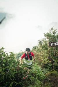 BIB: 
                            <button type="button" onclick="openModal(26308124)" class="btn btn-primary btn-sm float-right btn-popup" data-toggle="modal" data-target=".modal-high-quality">
                        <i class="fas fa-shopping-cart"></i> Add to Cart
                    </button>
                                            <button type="button" onclick="isThisMe(26308124, true)" class="btn btn-success btn-sm float-right btn-popup btn-isme hidden" data-toggle="tooltip" data-placement="bottom" title="นี่คือรูปของคุณใช่ไหม คลิกที่นี่เพื่อเอาเข้าอัลบั้ม">
                        <i class="fas fa-plus"></i> Add to album
                    </button>
                    <button type="button" onclick="isThisMe(26308124, false)" class="btn btn-warning btn-sm float-right btn-popup btn-isnotme hidden">
                        <i class="fas fa-ban"></i> Remove from album
                    </button>