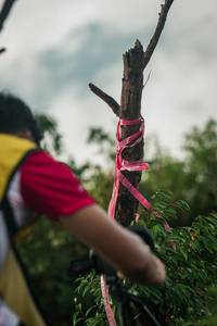 BIB: 
                            <button type="button" onclick="openModal(26309244)" class="btn btn-primary btn-sm float-right btn-popup" data-toggle="modal" data-target=".modal-high-quality">
                        <i class="fas fa-shopping-cart"></i> Add to Cart
                    </button>
                                            <button type="button" onclick="isThisMe(26309244, true)" class="btn btn-success btn-sm float-right btn-popup btn-isme hidden" data-toggle="tooltip" data-placement="bottom" title="นี่คือรูปของคุณใช่ไหม คลิกที่นี่เพื่อเอาเข้าอัลบั้ม">
                        <i class="fas fa-plus"></i> Add to album
                    </button>
                    <button type="button" onclick="isThisMe(26309244, false)" class="btn btn-warning btn-sm float-right btn-popup btn-isnotme hidden">
                        <i class="fas fa-ban"></i> Remove from album
                    </button>