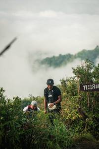 BIB: 
                            <button type="button" onclick="openModal(26309563)" class="btn btn-primary btn-sm float-right btn-popup" data-toggle="modal" data-target=".modal-high-quality">
                        <i class="fas fa-shopping-cart"></i> Add to Cart
                    </button>
                                            <button type="button" onclick="isThisMe(26309563, true)" class="btn btn-success btn-sm float-right btn-popup btn-isme hidden" data-toggle="tooltip" data-placement="bottom" title="นี่คือรูปของคุณใช่ไหม คลิกที่นี่เพื่อเอาเข้าอัลบั้ม">
                        <i class="fas fa-plus"></i> Add to album
                    </button>
                    <button type="button" onclick="isThisMe(26309563, false)" class="btn btn-warning btn-sm float-right btn-popup btn-isnotme hidden">
                        <i class="fas fa-ban"></i> Remove from album
                    </button>