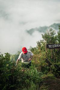 BIB: 
                            <button type="button" onclick="openModal(26308780)" class="btn btn-primary btn-sm float-right btn-popup" data-toggle="modal" data-target=".modal-high-quality">
                        <i class="fas fa-shopping-cart"></i> Add to Cart
                    </button>
                                            <button type="button" onclick="isThisMe(26308780, true)" class="btn btn-success btn-sm float-right btn-popup btn-isme hidden" data-toggle="tooltip" data-placement="bottom" title="นี่คือรูปของคุณใช่ไหม คลิกที่นี่เพื่อเอาเข้าอัลบั้ม">
                        <i class="fas fa-plus"></i> Add to album
                    </button>
                    <button type="button" onclick="isThisMe(26308780, false)" class="btn btn-warning btn-sm float-right btn-popup btn-isnotme hidden">
                        <i class="fas fa-ban"></i> Remove from album
                    </button>