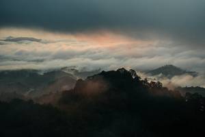 BIB: 
                            <button type="button" onclick="openModal(26306429)" class="btn btn-primary btn-sm float-right btn-popup" data-toggle="modal" data-target=".modal-high-quality">
                        <i class="fas fa-shopping-cart"></i> Add to Cart
                    </button>
                                            <button type="button" onclick="isThisMe(26306429, true)" class="btn btn-success btn-sm float-right btn-popup btn-isme hidden" data-toggle="tooltip" data-placement="bottom" title="นี่คือรูปของคุณใช่ไหม คลิกที่นี่เพื่อเอาเข้าอัลบั้ม">
                        <i class="fas fa-plus"></i> Add to album
                    </button>
                    <button type="button" onclick="isThisMe(26306429, false)" class="btn btn-warning btn-sm float-right btn-popup btn-isnotme hidden">
                        <i class="fas fa-ban"></i> Remove from album
                    </button>