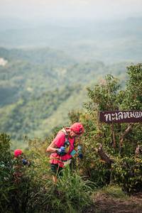 BIB: 
                            <button type="button" onclick="openModal(26319217)" class="btn btn-primary btn-sm float-right btn-popup" data-toggle="modal" data-target=".modal-high-quality">
                        <i class="fas fa-shopping-cart"></i> Add to Cart
                    </button>
                                            <button type="button" onclick="isThisMe(26319217, true)" class="btn btn-success btn-sm float-right btn-popup btn-isme hidden" data-toggle="tooltip" data-placement="bottom" title="นี่คือรูปของคุณใช่ไหม คลิกที่นี่เพื่อเอาเข้าอัลบั้ม">
                        <i class="fas fa-plus"></i> Add to album
                    </button>
                    <button type="button" onclick="isThisMe(26319217, false)" class="btn btn-warning btn-sm float-right btn-popup btn-isnotme hidden">
                        <i class="fas fa-ban"></i> Remove from album
                    </button>