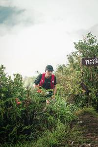 BIB: 
                            <button type="button" onclick="openModal(26308143)" class="btn btn-primary btn-sm float-right btn-popup" data-toggle="modal" data-target=".modal-high-quality">
                        <i class="fas fa-shopping-cart"></i> Add to Cart
                    </button>
                                            <button type="button" onclick="isThisMe(26308143, true)" class="btn btn-success btn-sm float-right btn-popup btn-isme hidden" data-toggle="tooltip" data-placement="bottom" title="นี่คือรูปของคุณใช่ไหม คลิกที่นี่เพื่อเอาเข้าอัลบั้ม">
                        <i class="fas fa-plus"></i> Add to album
                    </button>
                    <button type="button" onclick="isThisMe(26308143, false)" class="btn btn-warning btn-sm float-right btn-popup btn-isnotme hidden">
                        <i class="fas fa-ban"></i> Remove from album
                    </button>