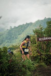 BIB: 
                            <button type="button" onclick="openModal(26310907)" class="btn btn-primary btn-sm float-right btn-popup" data-toggle="modal" data-target=".modal-high-quality">
                        <i class="fas fa-shopping-cart"></i> Add to Cart
                    </button>
                                            <button type="button" onclick="isThisMe(26310907, true)" class="btn btn-success btn-sm float-right btn-popup btn-isme hidden" data-toggle="tooltip" data-placement="bottom" title="นี่คือรูปของคุณใช่ไหม คลิกที่นี่เพื่อเอาเข้าอัลบั้ม">
                        <i class="fas fa-plus"></i> Add to album
                    </button>
                    <button type="button" onclick="isThisMe(26310907, false)" class="btn btn-warning btn-sm float-right btn-popup btn-isnotme hidden">
                        <i class="fas fa-ban"></i> Remove from album
                    </button>