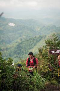 BIB: 
                            <button type="button" onclick="openModal(26314784)" class="btn btn-primary btn-sm float-right btn-popup" data-toggle="modal" data-target=".modal-high-quality">
                        <i class="fas fa-shopping-cart"></i> Add to Cart
                    </button>
                                            <button type="button" onclick="isThisMe(26314784, true)" class="btn btn-success btn-sm float-right btn-popup btn-isme hidden" data-toggle="tooltip" data-placement="bottom" title="นี่คือรูปของคุณใช่ไหม คลิกที่นี่เพื่อเอาเข้าอัลบั้ม">
                        <i class="fas fa-plus"></i> Add to album
                    </button>
                    <button type="button" onclick="isThisMe(26314784, false)" class="btn btn-warning btn-sm float-right btn-popup btn-isnotme hidden">
                        <i class="fas fa-ban"></i> Remove from album
                    </button>