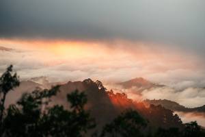 BIB: 
                            <button type="button" onclick="openModal(26306430)" class="btn btn-primary btn-sm float-right btn-popup" data-toggle="modal" data-target=".modal-high-quality">
                        <i class="fas fa-shopping-cart"></i> Add to Cart
                    </button>
                                            <button type="button" onclick="isThisMe(26306430, true)" class="btn btn-success btn-sm float-right btn-popup btn-isme hidden" data-toggle="tooltip" data-placement="bottom" title="นี่คือรูปของคุณใช่ไหม คลิกที่นี่เพื่อเอาเข้าอัลบั้ม">
                        <i class="fas fa-plus"></i> Add to album
                    </button>
                    <button type="button" onclick="isThisMe(26306430, false)" class="btn btn-warning btn-sm float-right btn-popup btn-isnotme hidden">
                        <i class="fas fa-ban"></i> Remove from album
                    </button>