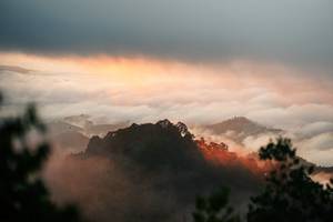 BIB: 
                            <button type="button" onclick="openModal(26306432)" class="btn btn-primary btn-sm float-right btn-popup" data-toggle="modal" data-target=".modal-high-quality">
                        <i class="fas fa-shopping-cart"></i> Add to Cart
                    </button>
                                            <button type="button" onclick="isThisMe(26306432, true)" class="btn btn-success btn-sm float-right btn-popup btn-isme hidden" data-toggle="tooltip" data-placement="bottom" title="นี่คือรูปของคุณใช่ไหม คลิกที่นี่เพื่อเอาเข้าอัลบั้ม">
                        <i class="fas fa-plus"></i> Add to album
                    </button>
                    <button type="button" onclick="isThisMe(26306432, false)" class="btn btn-warning btn-sm float-right btn-popup btn-isnotme hidden">
                        <i class="fas fa-ban"></i> Remove from album
                    </button>