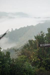 BIB: 
                            <button type="button" onclick="openModal(26306453)" class="btn btn-primary btn-sm float-right btn-popup" data-toggle="modal" data-target=".modal-high-quality">
                        <i class="fas fa-shopping-cart"></i> Add to Cart
                    </button>
                                            <button type="button" onclick="isThisMe(26306453, true)" class="btn btn-success btn-sm float-right btn-popup btn-isme hidden" data-toggle="tooltip" data-placement="bottom" title="นี่คือรูปของคุณใช่ไหม คลิกที่นี่เพื่อเอาเข้าอัลบั้ม">
                        <i class="fas fa-plus"></i> Add to album
                    </button>
                    <button type="button" onclick="isThisMe(26306453, false)" class="btn btn-warning btn-sm float-right btn-popup btn-isnotme hidden">
                        <i class="fas fa-ban"></i> Remove from album
                    </button>