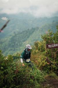 BIB: 
                            <button type="button" onclick="openModal(26312441)" class="btn btn-primary btn-sm float-right btn-popup" data-toggle="modal" data-target=".modal-high-quality">
                        <i class="fas fa-shopping-cart"></i> Add to Cart
                    </button>
                                            <button type="button" onclick="isThisMe(26312441, true)" class="btn btn-success btn-sm float-right btn-popup btn-isme hidden" data-toggle="tooltip" data-placement="bottom" title="นี่คือรูปของคุณใช่ไหม คลิกที่นี่เพื่อเอาเข้าอัลบั้ม">
                        <i class="fas fa-plus"></i> Add to album
                    </button>
                    <button type="button" onclick="isThisMe(26312441, false)" class="btn btn-warning btn-sm float-right btn-popup btn-isnotme hidden">
                        <i class="fas fa-ban"></i> Remove from album
                    </button>