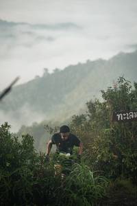 BIB: 
                            <button type="button" onclick="openModal(26306475)" class="btn btn-primary btn-sm float-right btn-popup" data-toggle="modal" data-target=".modal-high-quality">
                        <i class="fas fa-shopping-cart"></i> Add to Cart
                    </button>
                                            <button type="button" onclick="isThisMe(26306475, true)" class="btn btn-success btn-sm float-right btn-popup btn-isme hidden" data-toggle="tooltip" data-placement="bottom" title="นี่คือรูปของคุณใช่ไหม คลิกที่นี่เพื่อเอาเข้าอัลบั้ม">
                        <i class="fas fa-plus"></i> Add to album
                    </button>
                    <button type="button" onclick="isThisMe(26306475, false)" class="btn btn-warning btn-sm float-right btn-popup btn-isnotme hidden">
                        <i class="fas fa-ban"></i> Remove from album
                    </button>