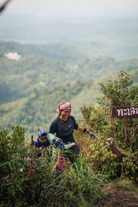 BIB: 
                            <button type="button" onclick="openModal(26319261)" class="btn btn-primary btn-sm float-right btn-popup" data-toggle="modal" data-target=".modal-high-quality">
                        <i class="fas fa-shopping-cart"></i> Add to Cart
                    </button>
                                            <button type="button" onclick="isThisMe(26319261, true)" class="btn btn-success btn-sm float-right btn-popup btn-isme hidden" data-toggle="tooltip" data-placement="bottom" title="นี่คือรูปของคุณใช่ไหม คลิกที่นี่เพื่อเอาเข้าอัลบั้ม">
                        <i class="fas fa-plus"></i> Add to album
                    </button>
                    <button type="button" onclick="isThisMe(26319261, false)" class="btn btn-warning btn-sm float-right btn-popup btn-isnotme hidden">
                        <i class="fas fa-ban"></i> Remove from album
                    </button>