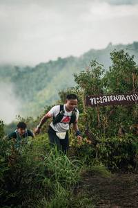 BIB: 
                            <button type="button" onclick="openModal(26310139)" class="btn btn-primary btn-sm float-right btn-popup" data-toggle="modal" data-target=".modal-high-quality">
                        <i class="fas fa-shopping-cart"></i> Add to Cart
                    </button>
                                            <button type="button" onclick="isThisMe(26310139, true)" class="btn btn-success btn-sm float-right btn-popup btn-isme hidden" data-toggle="tooltip" data-placement="bottom" title="นี่คือรูปของคุณใช่ไหม คลิกที่นี่เพื่อเอาเข้าอัลบั้ม">
                        <i class="fas fa-plus"></i> Add to album
                    </button>
                    <button type="button" onclick="isThisMe(26310139, false)" class="btn btn-warning btn-sm float-right btn-popup btn-isnotme hidden">
                        <i class="fas fa-ban"></i> Remove from album
                    </button>