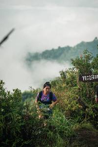 BIB: 
                            <button type="button" onclick="openModal(26309875)" class="btn btn-primary btn-sm float-right btn-popup" data-toggle="modal" data-target=".modal-high-quality">
                        <i class="fas fa-shopping-cart"></i> Add to Cart
                    </button>
                                            <button type="button" onclick="isThisMe(26309875, true)" class="btn btn-success btn-sm float-right btn-popup btn-isme hidden" data-toggle="tooltip" data-placement="bottom" title="นี่คือรูปของคุณใช่ไหม คลิกที่นี่เพื่อเอาเข้าอัลบั้ม">
                        <i class="fas fa-plus"></i> Add to album
                    </button>
                    <button type="button" onclick="isThisMe(26309875, false)" class="btn btn-warning btn-sm float-right btn-popup btn-isnotme hidden">
                        <i class="fas fa-ban"></i> Remove from album
                    </button>