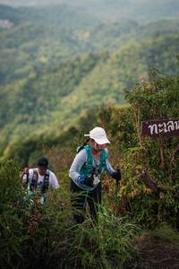 BIB: 
                            <button type="button" onclick="openModal(26317745)" class="btn btn-primary btn-sm float-right btn-popup" data-toggle="modal" data-target=".modal-high-quality">
                        <i class="fas fa-shopping-cart"></i> Add to Cart
                    </button>
                                            <button type="button" onclick="isThisMe(26317745, true)" class="btn btn-success btn-sm float-right btn-popup btn-isme hidden" data-toggle="tooltip" data-placement="bottom" title="นี่คือรูปของคุณใช่ไหม คลิกที่นี่เพื่อเอาเข้าอัลบั้ม">
                        <i class="fas fa-plus"></i> Add to album
                    </button>
                    <button type="button" onclick="isThisMe(26317745, false)" class="btn btn-warning btn-sm float-right btn-popup btn-isnotme hidden">
                        <i class="fas fa-ban"></i> Remove from album
                    </button>