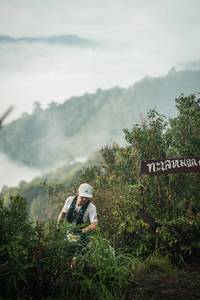 BIB: 
                            <button type="button" onclick="openModal(26306597)" class="btn btn-primary btn-sm float-right btn-popup" data-toggle="modal" data-target=".modal-high-quality">
                        <i class="fas fa-shopping-cart"></i> Add to Cart
                    </button>
                                            <button type="button" onclick="isThisMe(26306597, true)" class="btn btn-success btn-sm float-right btn-popup btn-isme hidden" data-toggle="tooltip" data-placement="bottom" title="นี่คือรูปของคุณใช่ไหม คลิกที่นี่เพื่อเอาเข้าอัลบั้ม">
                        <i class="fas fa-plus"></i> Add to album
                    </button>
                    <button type="button" onclick="isThisMe(26306597, false)" class="btn btn-warning btn-sm float-right btn-popup btn-isnotme hidden">
                        <i class="fas fa-ban"></i> Remove from album
                    </button>