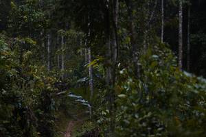 BIB: 
                            <button type="button" onclick="openModal(26239241)" class="btn btn-primary btn-sm float-right btn-popup" data-toggle="modal" data-target=".modal-high-quality">
                        <i class="fas fa-shopping-cart"></i> Add to Cart
                    </button>
                                            <button type="button" onclick="isThisMe(26239241, true)" class="btn btn-success btn-sm float-right btn-popup btn-isme hidden" data-toggle="tooltip" data-placement="bottom" title="นี่คือรูปของคุณใช่ไหม คลิกที่นี่เพื่อเอาเข้าอัลบั้ม">
                        <i class="fas fa-plus"></i> Add to album
                    </button>
                    <button type="button" onclick="isThisMe(26239241, false)" class="btn btn-warning btn-sm float-right btn-popup btn-isnotme hidden">
                        <i class="fas fa-ban"></i> Remove from album
                    </button>