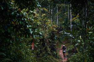 BIB: 
                            <button type="button" onclick="openModal(26239648)" class="btn btn-primary btn-sm float-right btn-popup" data-toggle="modal" data-target=".modal-high-quality">
                        <i class="fas fa-shopping-cart"></i> Add to Cart
                    </button>
                                            <button type="button" onclick="isThisMe(26239648, true)" class="btn btn-success btn-sm float-right btn-popup btn-isme hidden" data-toggle="tooltip" data-placement="bottom" title="นี่คือรูปของคุณใช่ไหม คลิกที่นี่เพื่อเอาเข้าอัลบั้ม">
                        <i class="fas fa-plus"></i> Add to album
                    </button>
                    <button type="button" onclick="isThisMe(26239648, false)" class="btn btn-warning btn-sm float-right btn-popup btn-isnotme hidden">
                        <i class="fas fa-ban"></i> Remove from album
                    </button>