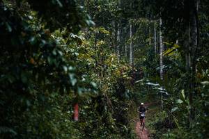 BIB: 
                            <button type="button" onclick="openModal(26239566)" class="btn btn-primary btn-sm float-right btn-popup" data-toggle="modal" data-target=".modal-high-quality">
                        <i class="fas fa-shopping-cart"></i> Add to Cart
                    </button>
                                            <button type="button" onclick="isThisMe(26239566, true)" class="btn btn-success btn-sm float-right btn-popup btn-isme hidden" data-toggle="tooltip" data-placement="bottom" title="นี่คือรูปของคุณใช่ไหม คลิกที่นี่เพื่อเอาเข้าอัลบั้ม">
                        <i class="fas fa-plus"></i> Add to album
                    </button>
                    <button type="button" onclick="isThisMe(26239566, false)" class="btn btn-warning btn-sm float-right btn-popup btn-isnotme hidden">
                        <i class="fas fa-ban"></i> Remove from album
                    </button>