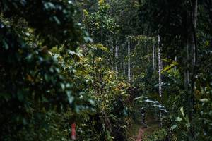 BIB: 
                            <button type="button" onclick="openModal(26239290)" class="btn btn-primary btn-sm float-right btn-popup" data-toggle="modal" data-target=".modal-high-quality">
                        <i class="fas fa-shopping-cart"></i> Add to Cart
                    </button>
                                            <button type="button" onclick="isThisMe(26239290, true)" class="btn btn-success btn-sm float-right btn-popup btn-isme hidden" data-toggle="tooltip" data-placement="bottom" title="นี่คือรูปของคุณใช่ไหม คลิกที่นี่เพื่อเอาเข้าอัลบั้ม">
                        <i class="fas fa-plus"></i> Add to album
                    </button>
                    <button type="button" onclick="isThisMe(26239290, false)" class="btn btn-warning btn-sm float-right btn-popup btn-isnotme hidden">
                        <i class="fas fa-ban"></i> Remove from album
                    </button>