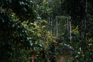 BIB: 
                            <button type="button" onclick="openModal(26239295)" class="btn btn-primary btn-sm float-right btn-popup" data-toggle="modal" data-target=".modal-high-quality">
                        <i class="fas fa-shopping-cart"></i> Add to Cart
                    </button>
                                            <button type="button" onclick="isThisMe(26239295, true)" class="btn btn-success btn-sm float-right btn-popup btn-isme hidden" data-toggle="tooltip" data-placement="bottom" title="นี่คือรูปของคุณใช่ไหม คลิกที่นี่เพื่อเอาเข้าอัลบั้ม">
                        <i class="fas fa-plus"></i> Add to album
                    </button>
                    <button type="button" onclick="isThisMe(26239295, false)" class="btn btn-warning btn-sm float-right btn-popup btn-isnotme hidden">
                        <i class="fas fa-ban"></i> Remove from album
                    </button>