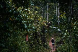 BIB: 
                            <button type="button" onclick="openModal(26239661)" class="btn btn-primary btn-sm float-right btn-popup" data-toggle="modal" data-target=".modal-high-quality">
                        <i class="fas fa-shopping-cart"></i> Add to Cart
                    </button>
                                            <button type="button" onclick="isThisMe(26239661, true)" class="btn btn-success btn-sm float-right btn-popup btn-isme hidden" data-toggle="tooltip" data-placement="bottom" title="นี่คือรูปของคุณใช่ไหม คลิกที่นี่เพื่อเอาเข้าอัลบั้ม">
                        <i class="fas fa-plus"></i> Add to album
                    </button>
                    <button type="button" onclick="isThisMe(26239661, false)" class="btn btn-warning btn-sm float-right btn-popup btn-isnotme hidden">
                        <i class="fas fa-ban"></i> Remove from album
                    </button>